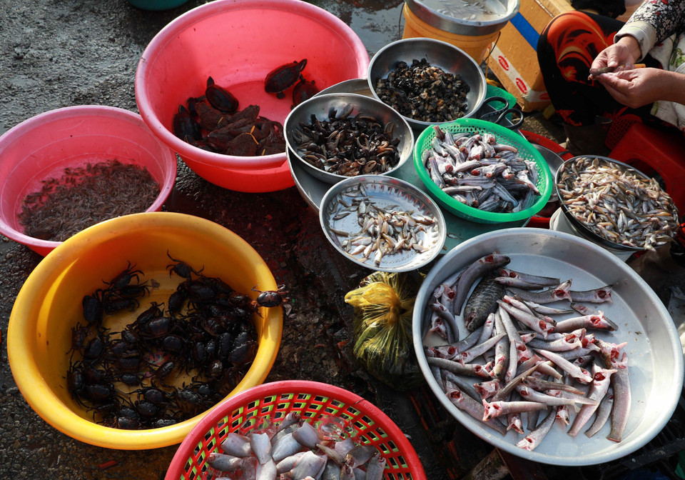 Phong phú sản vật mùa nước nổi được bày bán ở các khu chợ. (Ảnh: Duy Khương/TTXVN)