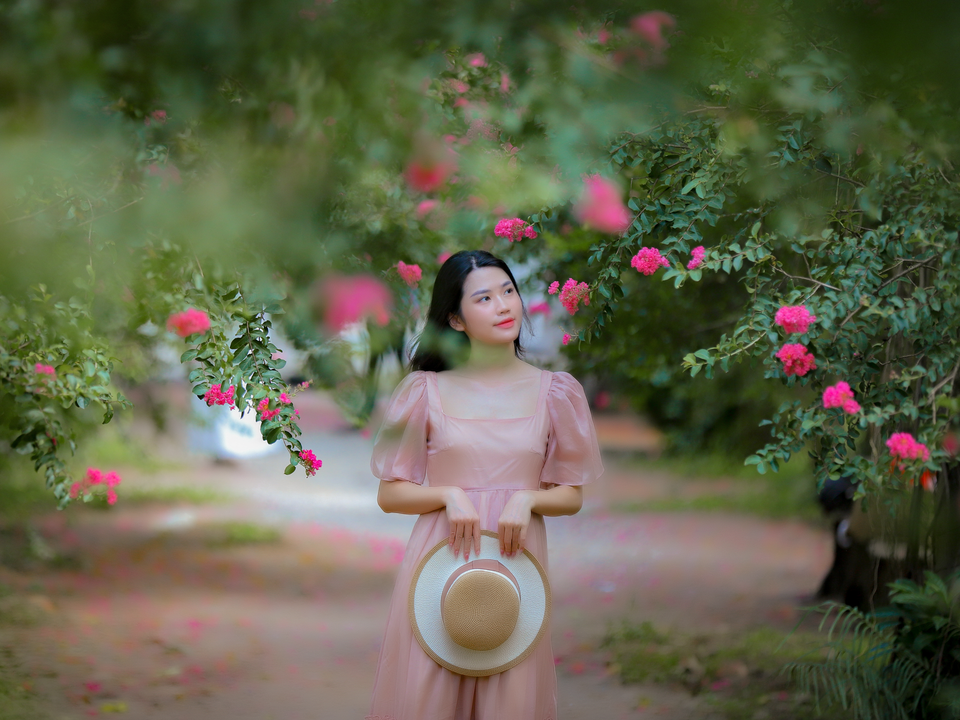 Ở Hà Nội, con đường hoa tường vy luôn là một địa điểm vô cùng thú vị vào dịp cuối tuần. Chỉ cần đừng vào những bụi hoa lớn là đã có những chiếc ảnh đẹp lung linh. (Ảnh: Minh Hiếu/Vietnam+)