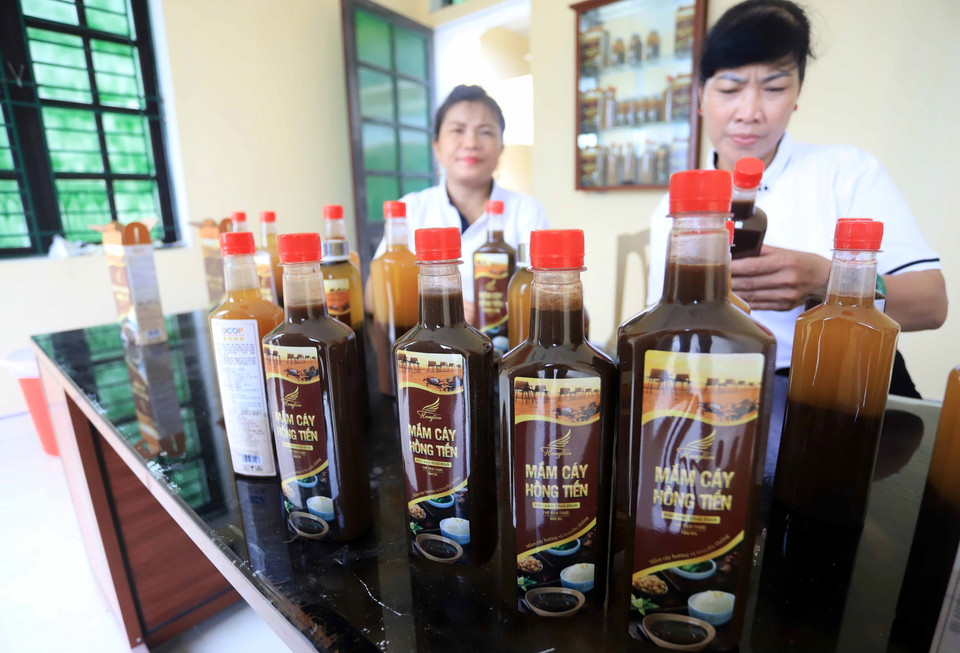 Sản phẩm mắm cáy Hồng Tiến đã được công nhận là sản phẩm OCOP 4 sao của tỉnh Thái Bình. (Ảnh: Thế Duyệt/TTXVN)