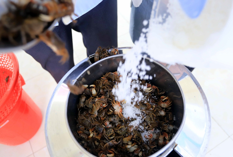 Sau khi làm sạch, cáy được xay cùng với muối. (Ảnh: Thế Duyệt/TTXVN)