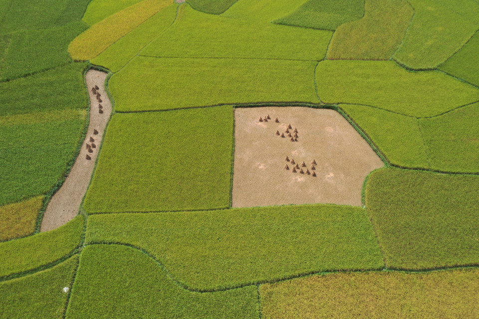 Tất cả làm nên một Cao Bằng vừa hùng vĩ, vừa nên thơ lãng mạn thu hút du khách đến Cao Bằng. (Ảnh: TTXVN phát)