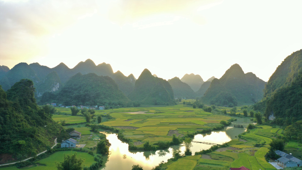 Mùa lúa chín ở xã Ngọc Khê, huyện Trùng Khánh, tỉnh Cao Bằng. (Ảnh: TTXVN phát)