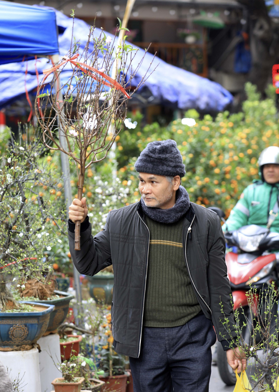 Chọn mua một cành đào nhỏ cắm Tết là niềm vui của người dân Hà Nội. (Ảnh: Nhật Anh/TTXVN)