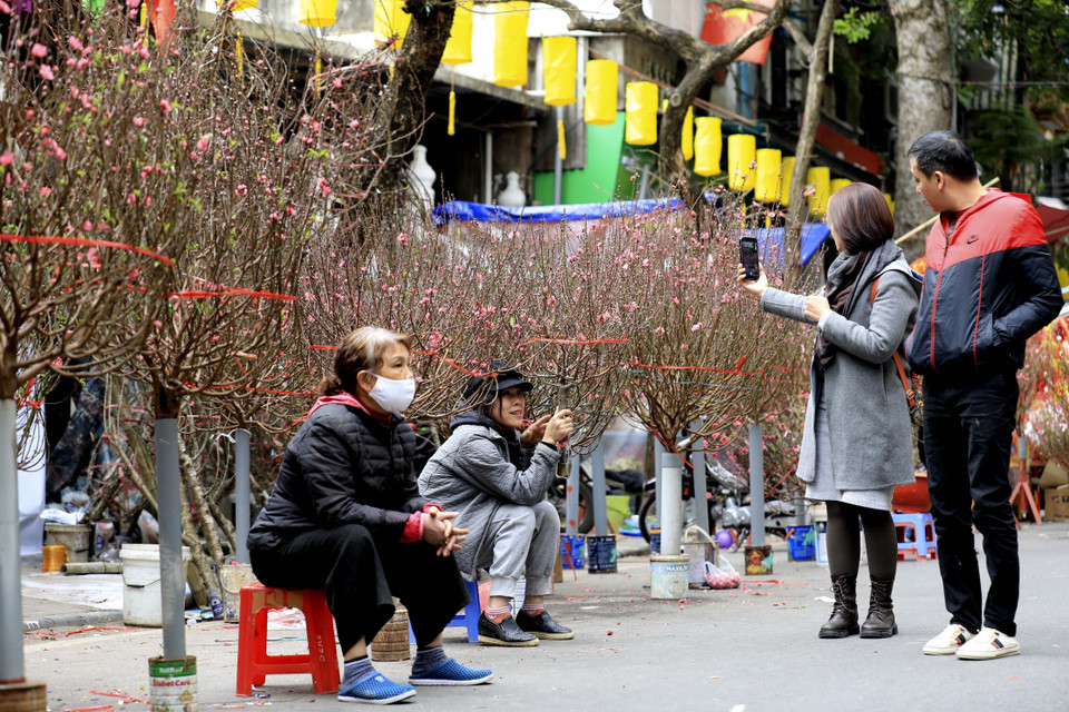 Ngắm và mua được một cành đào là sở thích của nhiều người dân Hà Nội. (Ảnh: Nhật Anh/TTXVN)