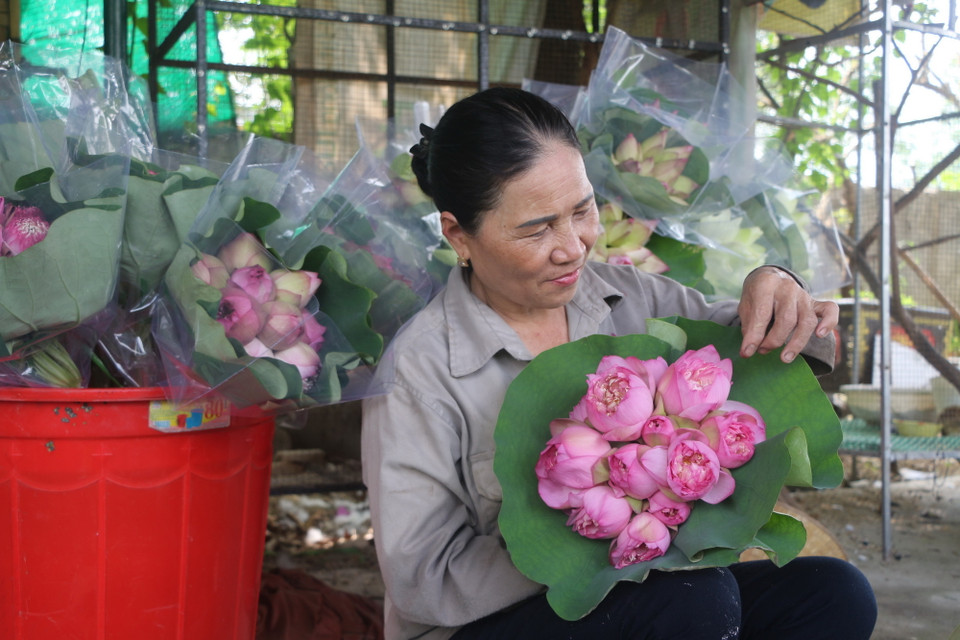 Qua bàn tay khéo léo của các chị làng Sen, những đóa sen quan âm, bách diệp được gấp cánh công phu, tỉ mỉ thành những bó hoa đẹp mĩ mãn. (Ảnh: Bích Huệ/TTXVN)