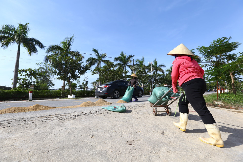 Người dân xã Cẩm Quan mang thóc ra phơi khi trời đã nắng ráo (ảnh chụp sáng 23/10). (Ảnh: Minh Quyết/TTXVN)