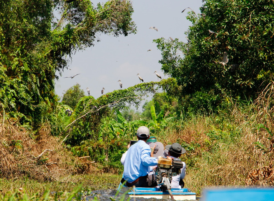 Trung tâm nông nghiệp Mùa Xuân thực hiện tốt công tác bảo tồn khu vườn chim. (Ảnh: Hồng Thái/TTXVN)