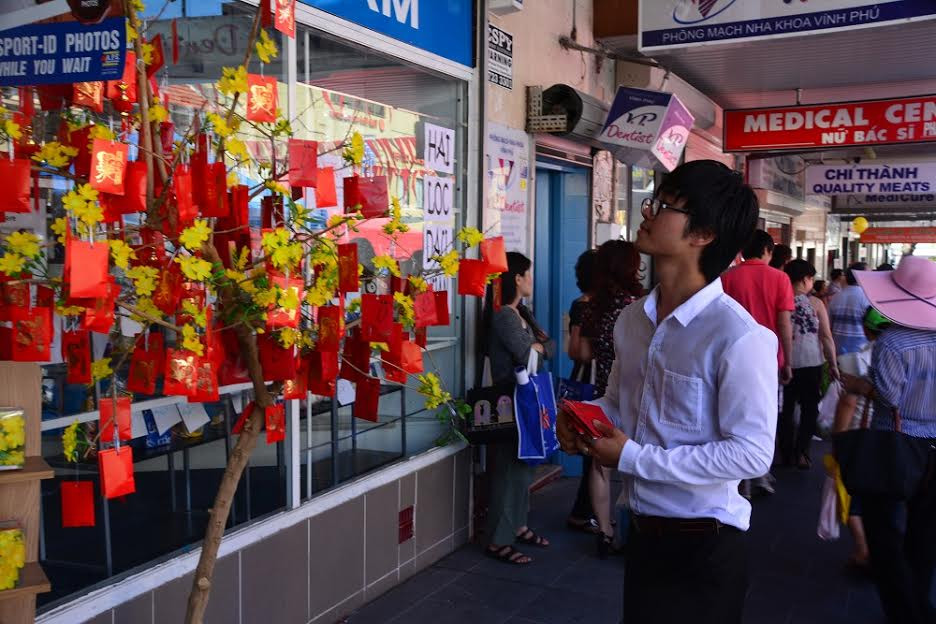 Trang trí cây mai với phong bào lì xì tại chợ Tết ở Bankstown