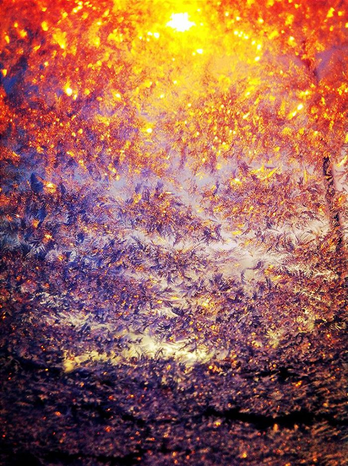 Bức tranh trừu tượng ngoài trời khi được nhìn từ bên trong xe. (Nguồn: boredpanda.com)