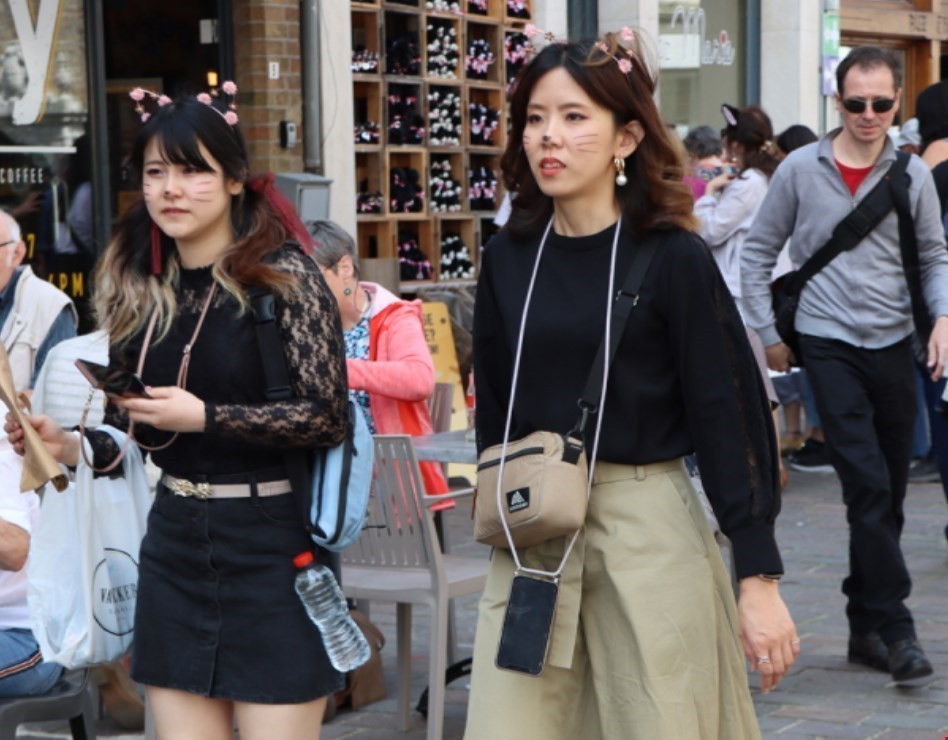 Du khách đến với Lễ hội Mèo cũng vẽ mặt mèo phù hợp với không khí lễ hội. (Ảnh: Hương Giang/TTXVN)