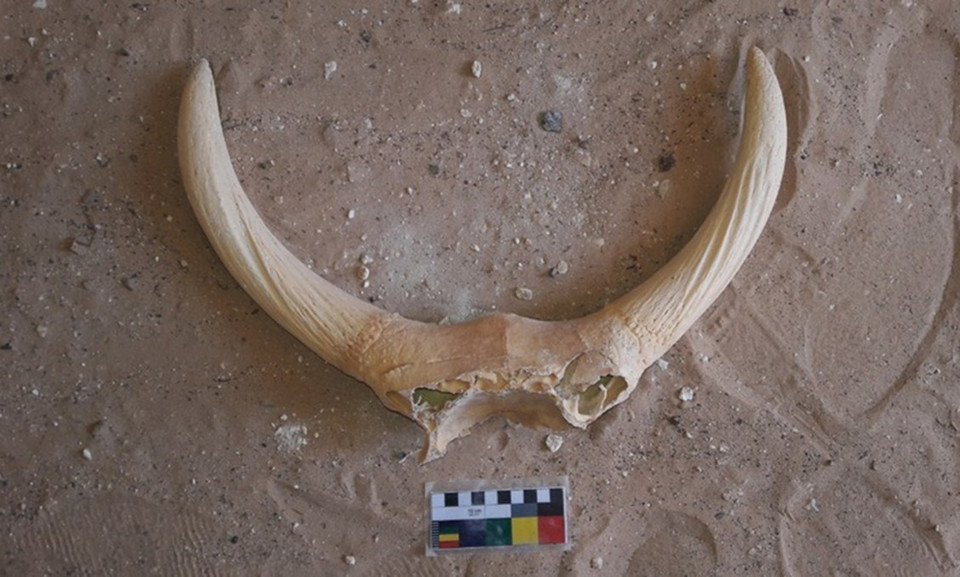 Một số đồ tạo tác được tìm thấy từ những lăng mộ có niên đại khoảng 4.200 năm ở tỉnh Sohag, miền Nam Ai Cập. (Nguồn: THX/TTXVN)