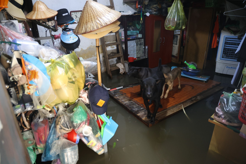 Nước lũ dâng cao gây ngập lụt tại khu vực đường 70, Thanh Trì, Hà Nội. (Ảnh: Minh Hiếu/TTXVN)