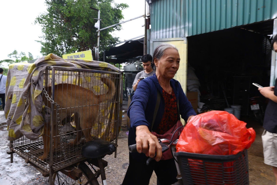 Người dân đi chuyển tài sản khỏi vùng ngập. (Ảnh: Huy Hùng/TTXVN)