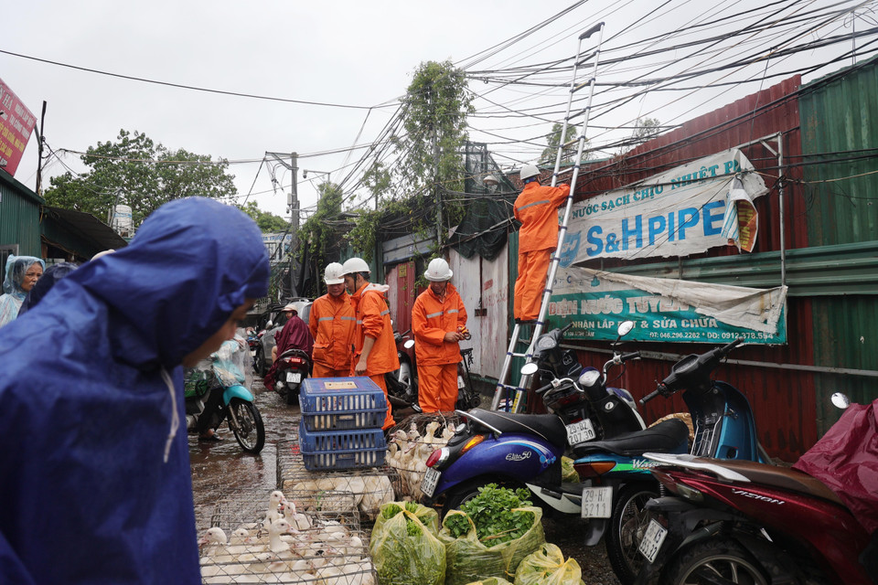 Cán bộ ngành điện lực kiểm tra an toàn đường điện tại các khu vực gần sông Hồng đề phòng những nguy hiểm khi mực nước sông lên cao. (Ảnh: Lê Phú/TTXVN)