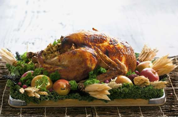 Gà tây là món ăn phổ biến ở Bắc Mỹ, Anh, Ireland, Australia, và New Zealand. (Nguồn: Getty)