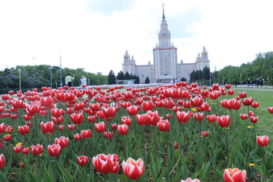 Đồi Chim sẻ là một trong những điểm khám phá được nhiều khách du lịch quốc tế yêu thích nhất khi đến Thủ đô Moskva của nước Nga. (Ảnh: Hùng Võ/Vietnam+)