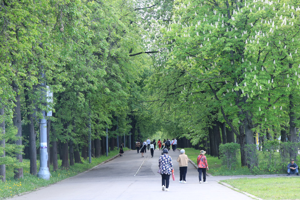 Tôi tới Đồi Chim sẻ vào một chiều cuối tuần đẹp trời. Thủ đô của đất nước rộng nhất thế giới hiện ra với cảnh sắc thơ mộng, đáng sống. (Ảnh: Hùng Võ/Vietnam+)