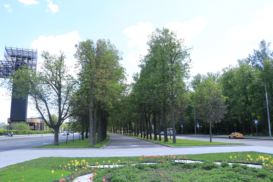 Mùa Hè, đồi Chim sẻ lại có vẻ dịu mát bởi rừng sồi, rừng bạch dương xanh ngắt. Mùa thu lá phong vàng rực khắp nơi tạo nên một vẻ đẹp lãng mạn khiến cho du khách đến đây không khỏi trầm trồ. Vào mùa đông, tuyết trắng xóa, đồi Chim sẻ trở thành nơi cực kì hấp dẫn với dân ưa trượt tuyết. (Ảnh: Hùng Võ/Vietnam+)