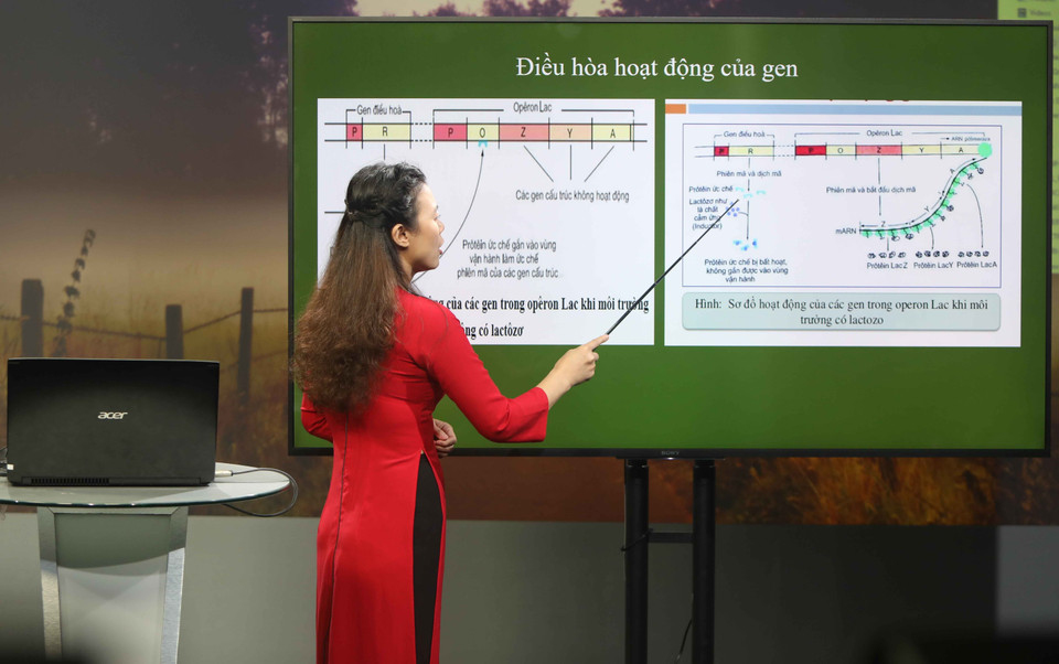 Để thực hiện chương trình, các giáo viên cùng tổ bộ môn đã họp với cán bộ, chuyên viên của Sở Giáo dục và Đào tạo Hà Nội để phân công lịch ghi hình, thống nhất nội dung giảng dạy của từng giáo viên. (Ảnh: Thanh Tùng/TTXVN)