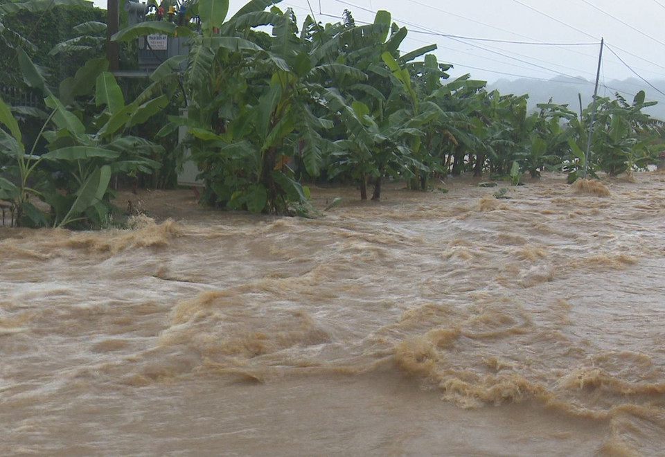  Mưa liên tục khiến nước dâng cao tại huyện Mộc Châu (Sơn La), làm ngập úng cục bộ và gây thiệt hại về tài sản, hoa màu của người dân. (Ảnh: TTXVN/phát)