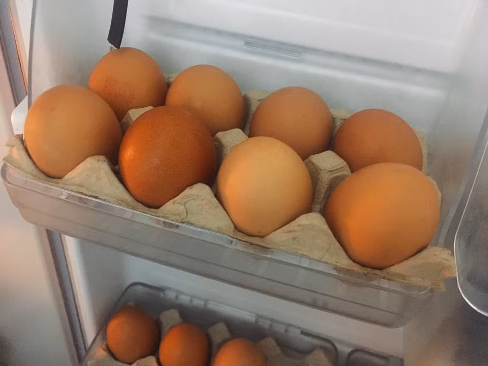  Những khay giấy cắt gọt vừa khít với cánh tủ lạnh giúp việc bảo quản trứng được dễ dàng và sạch sẽ hơn, đặc biệt nếu có những quả trứng không may bị nứt vỡ trong quá trình vận chuyển. (Nguồn: Vietnam+)