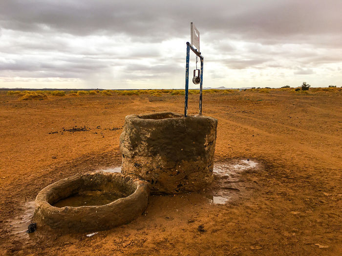 Hàng nghìn năm trước, sa mạc Sahara từng là một đồng cỏ với những hồ nước khổng lồ. (Nguồn: Boredpanda)
