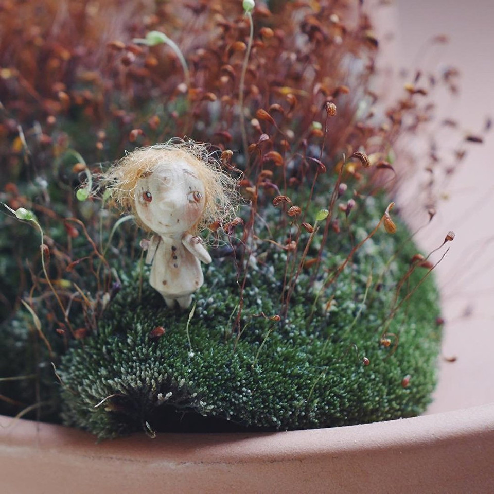 Khu rừng tí hon. (Nguồn: Sputnik)