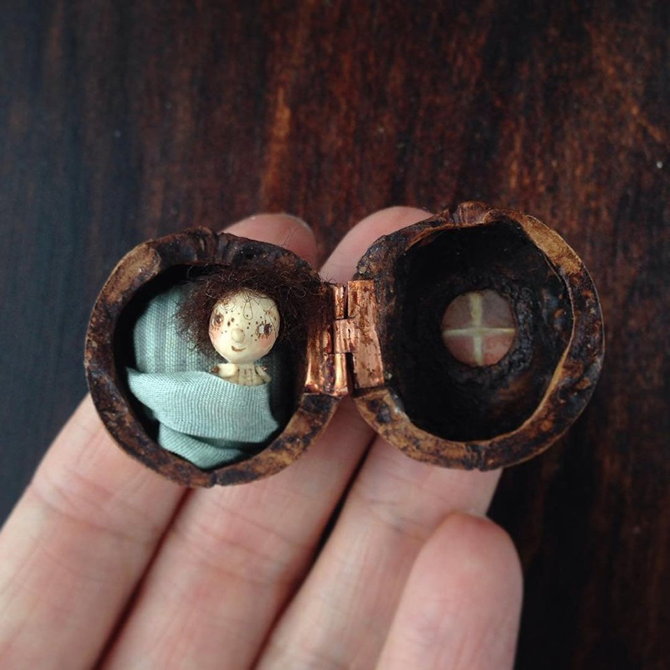 Góc ngủ nhỏ làm bằng hạt óc chó. (Nguồn: Sputnik)