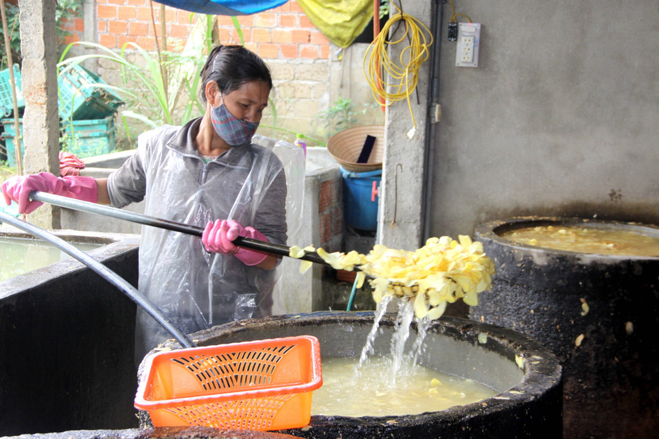 Sản xuất mứt gừng truyền thống Mỹ Chánh. (Ảnh: Trịnh Bang Nhiệm/TTXVN)