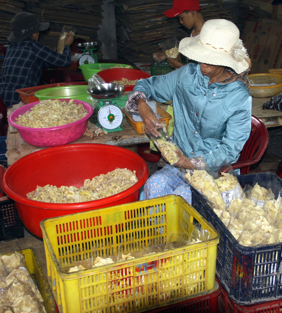 Năm nay, làng mứt gừng truyền thống Mỹ Chánh có 9 hộ tham gia sản xuất, sản lượng dự tính đạt được từ 70-80 tấn. (Ảnh: Trịnh Bang Nhiệm/TTXVN)