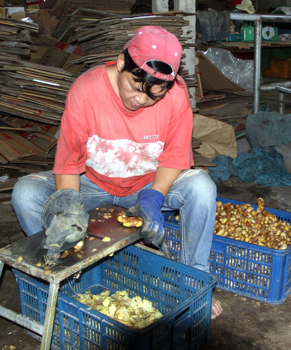 Sản xuất mứt gừng truyền thống Mỹ Chánh. (Ảnh: Trịnh Bang Nhiệm/TTXVN)