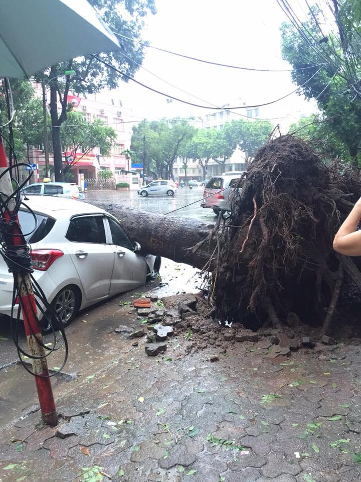 Do hoàn lưu bão số 1, hiện nay một số nơi trong khu vực nội thành Hà Nội đã có mưa vừa đến mưa to. (Nguồn: Vietnam+)