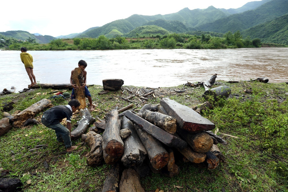 Những khúc củi, tấm gỗ do bọn trẻ vớt được tập kết trên bờ. (Ảnh: Phan Tuấn Anh/TTXVN)
