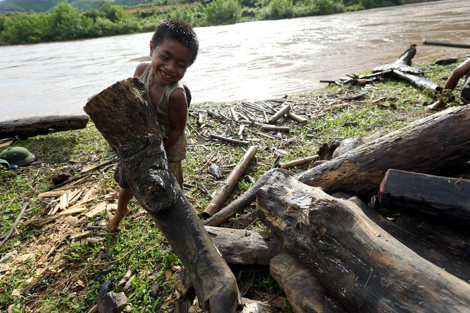 Niềm vui của cậu bé khi vớt được một thân cây to. (Ảnh: Phan Tuấn Anh/TTXVN)