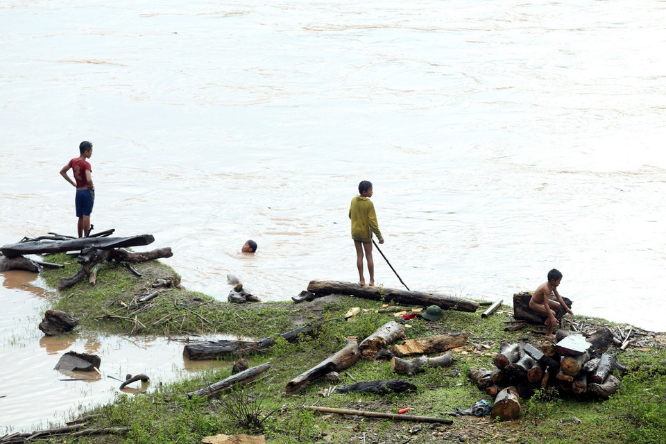 Chờ đợi những tấm gỗ, thân cây trôi theo dòng nước. (Ảnh: Phan Tuấn Anh/TTXVN)