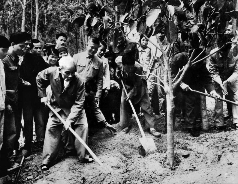 Bác Hồ trồng cây đa lưu niệm trên đồi cây của xã Vật Lại, huyện Ba Vì, tỉnh Hà Tây (nay là Hà Nội), ngày 16/2/1969. Người căn dặn phải bắt đầu từ việc chăm sóc cây mới trồng, từng con người mới lớn, nâng niu từng tấm gương người tốt, việc tốt xuất hiện ở trong cuộc sống hàng ngày của hàng triệu triệu quần chúng nhân dân lao động trong cả nước. Phải có nhiều cây mới thành rừng, phải có nhiều người tốt mới thành một xã hội tốt đẹp. (Nguồn: TTXVN)