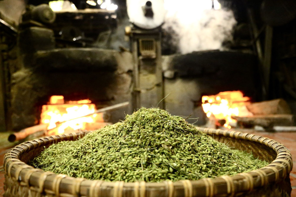 Nguyên liệu chính làm cốm là lúa nếp; có nhiều loại lúa nếp có thể làm cốm như lúa nếp lương phượng, lúa nếp thơm. (Ảnh: Hà Anh/TTXVN phát)