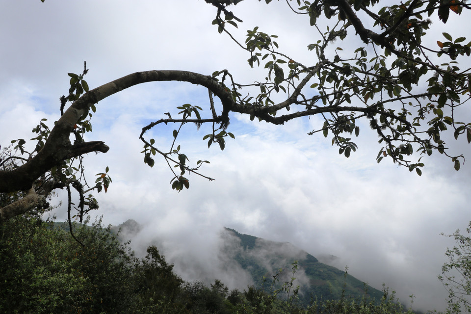 (Ảnh: Hạnh Nguyễn/Vietnam+)