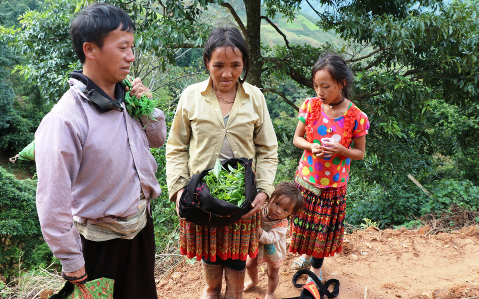  (Ảnh: Hạnh Nguyễn/Vietnam+)