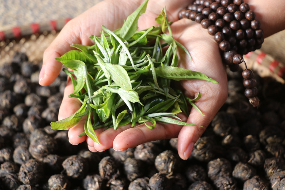 . (Ảnh: Hạnh Nguyễn/Vietnam+)