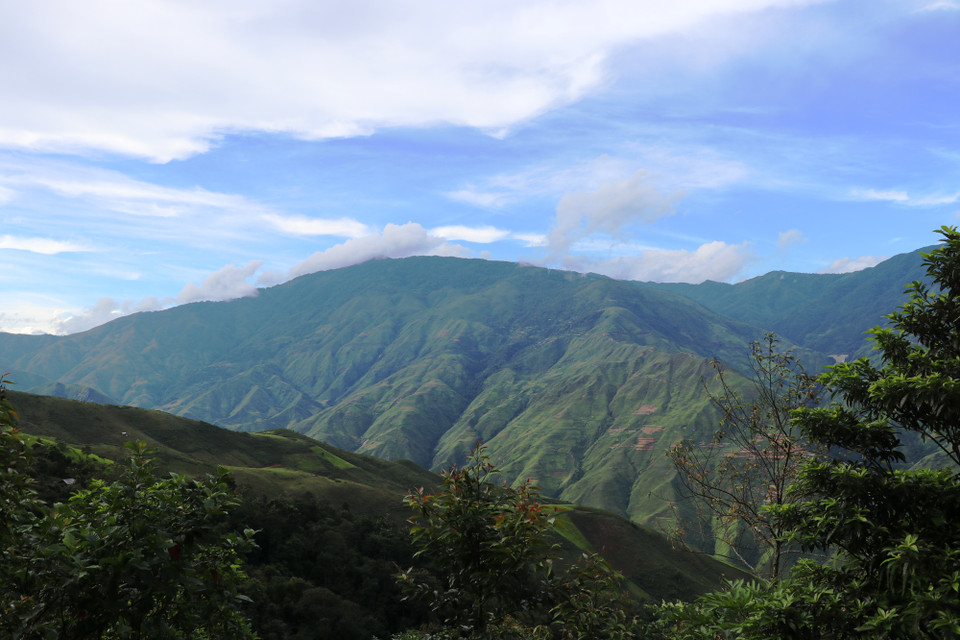 (Ảnh: Hạnh Nguyễn/Vietnam+)