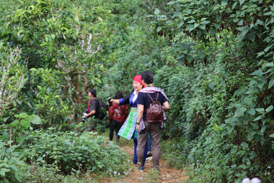  (Ảnh: Hạnh Nguyễn/Vietnam+)