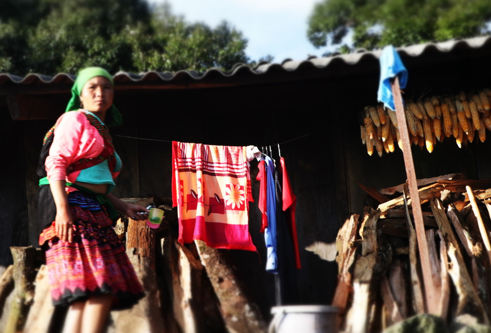 Các hộ gia đình sinh sống trên mảnh đất Tà Xùa đều là người Mông. (Ảnh: Hạnh Nguyễn/Vietnam+)