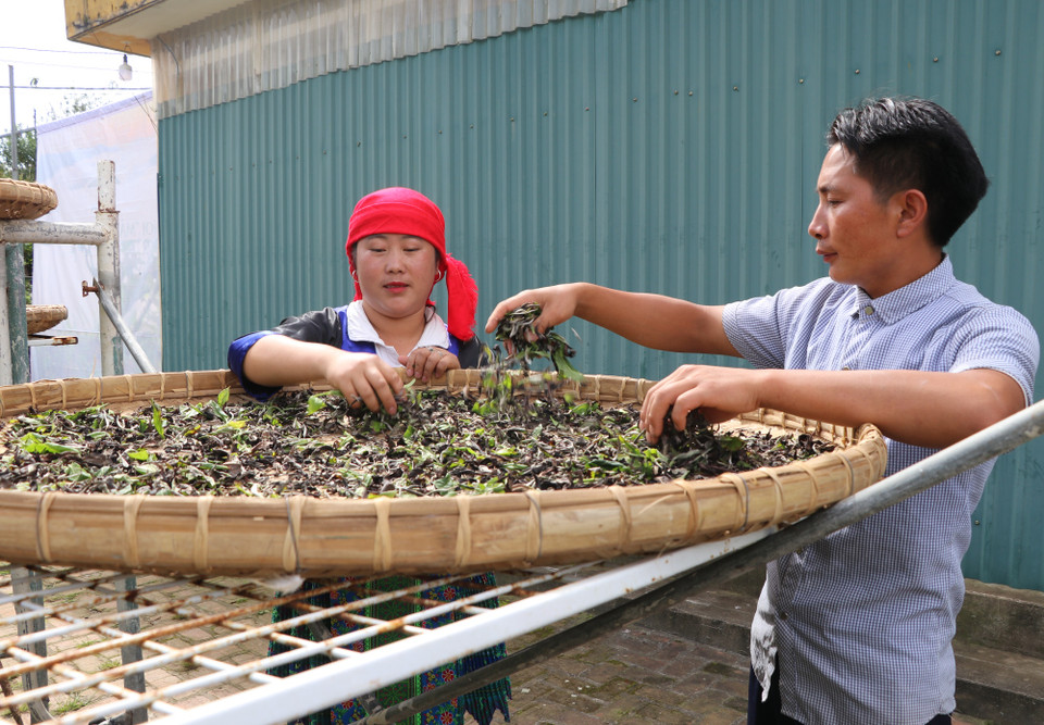 (Ảnh: Hạnh Nguyễn/Vietnam+)
