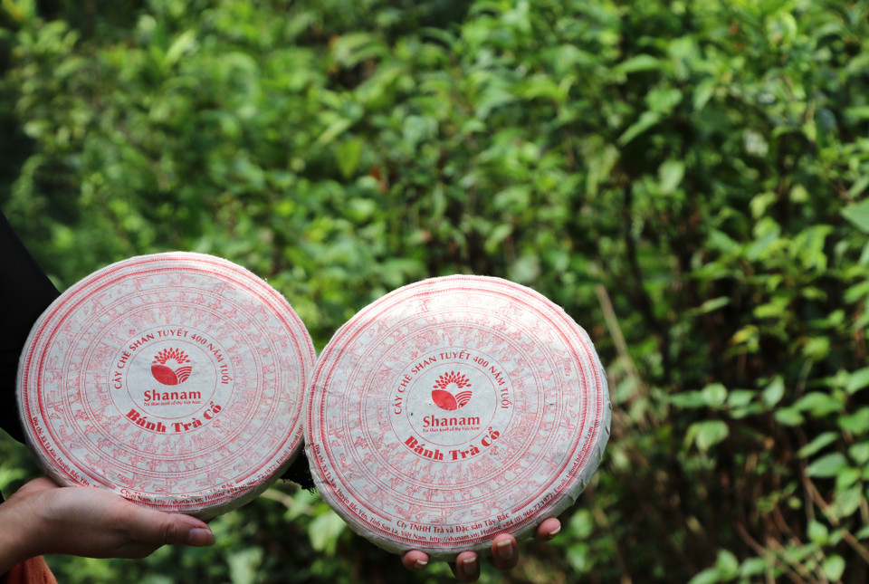 Bên cạnh dó, trà shan tuyết còn được giới sành trà ưu chuộng và sưu tầm do mức độ hiếm đồng thời những bánh chè để càng lâu sẽ tiếp tục lên men, tạo nên giá trị cao hơn theo thời gian. (Ảnh: Hạnh Nguyễn/Vietnam+)