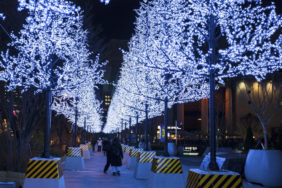 Khu vườn ánh sáng với các cây thông gắn đèn led cao 8m trong khuôn viên Công viên Sejong. (Ảnh: Anh Nguyên/TTXVN)