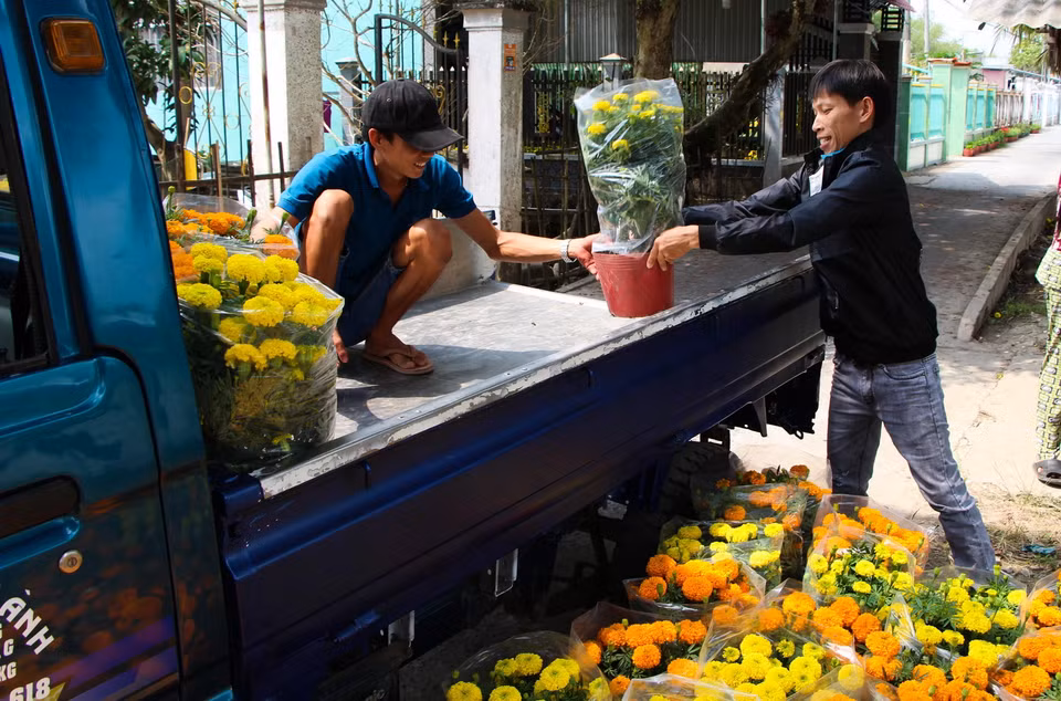 Chuyển hoa từ làng hoa Xáng Mới đến chợ để tiêu thụ. (Ảnh: Hồng Thái/TTXVN)