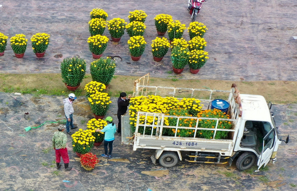 Xe vận chuyển hoa từ làng hoa Dương Sơn đi các nơi phục vụ thị trường Tết 2021. (Ảnh: Trần Lê Lâm/TTXVN)