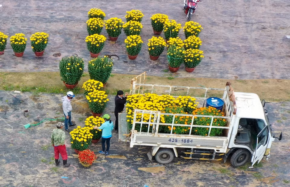 Xe vận chuyển hoa từ làng hoa Dương Sơn đi các nơi phục vụ thị trường Tết 2021. (Ảnh: Trần Lê Lâm/TTXVN)
