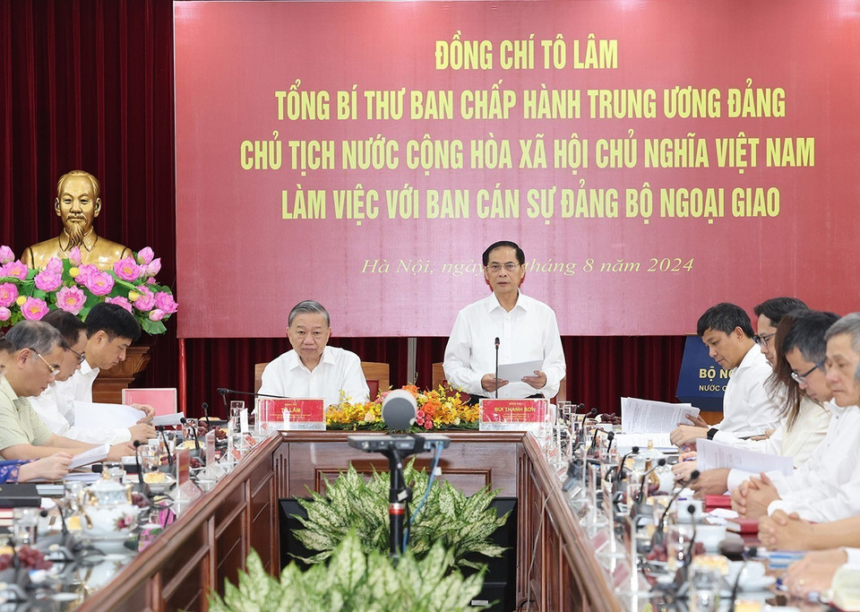 Đồng chí Bùi Thanh Sơn, Ủy viên Trung ương Đảng, Bí thư Ban cán sự Đảng, Phó Thủ tướng, Bộ trưởng Bộ Ngoại giao phát biểu. (Ảnh: Trí Dũng/TTXVN)